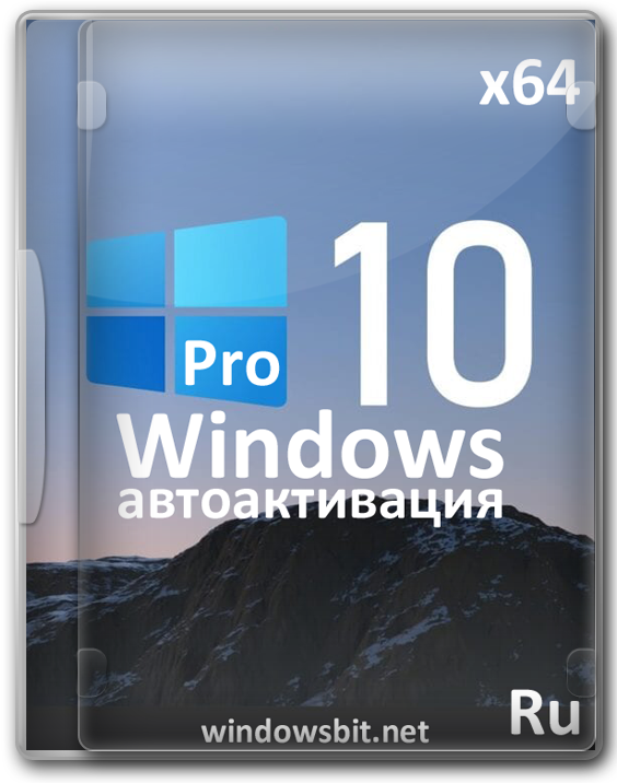 Windows 10 21H2 Professional x64  